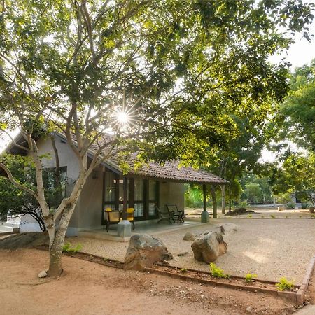 Koragaha Lodge - Yala ティッサマハーラーマ エクステリア 写真
