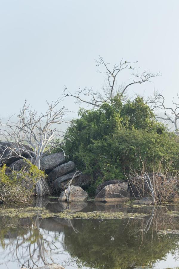 Koragaha Lodge - Yala ティッサマハーラーマ エクステリア 写真