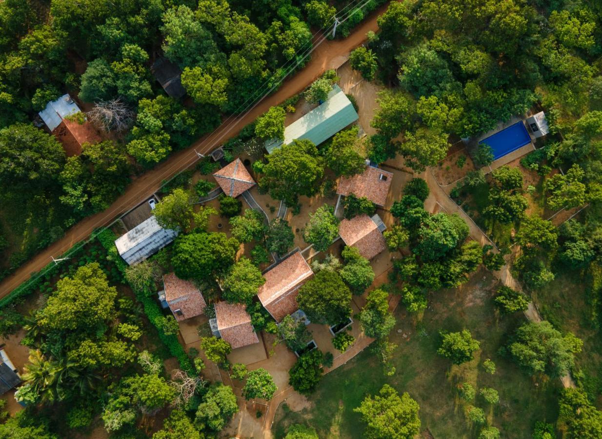 Koragaha Lodge - Yala ティッサマハーラーマ エクステリア 写真
