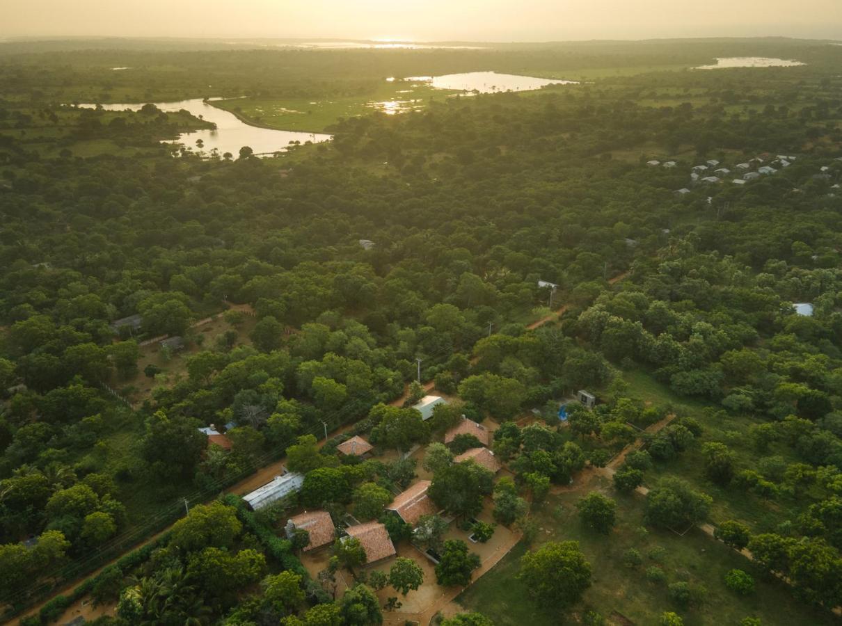 Koragaha Lodge - Yala ティッサマハーラーマ エクステリア 写真